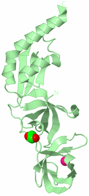 Image Biological Unit 2