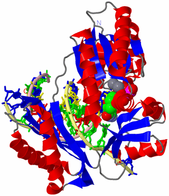 Image Asym./Biol. Unit