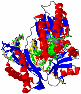 Image Asym./Biol. Unit - sites