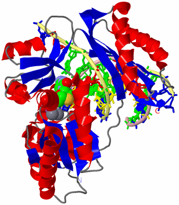 Image Asym./Biol. Unit