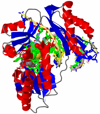 Image Asym./Biol. Unit - sites