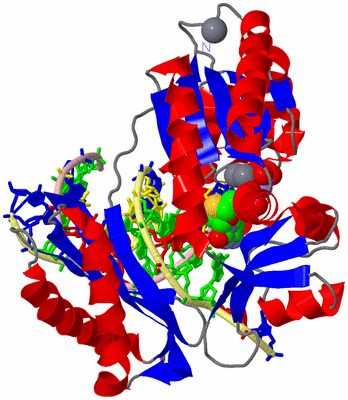 Image Asym./Biol. Unit