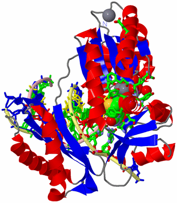 Image Asym./Biol. Unit - sites