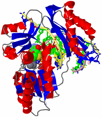 Image Asym./Biol. Unit