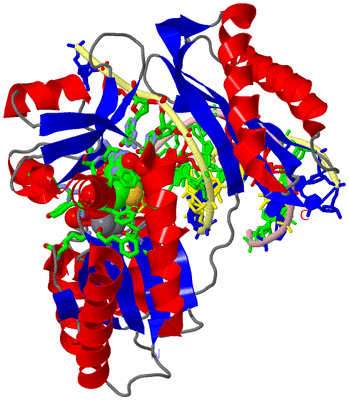 Image Asym./Biol. Unit - sites