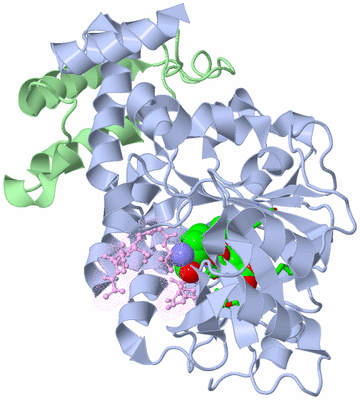 Image Biol. Unit 1 - sites