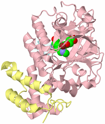 Image Biological Unit 2