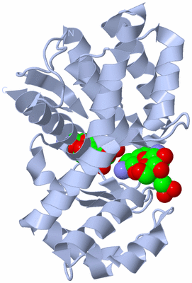 Image Biological Unit 1