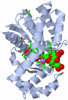 Image Biol. Unit 1 - sites