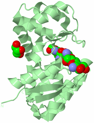 Image Biological Unit 2