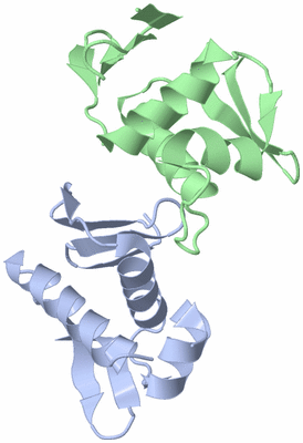 Image Asymmetric Unit