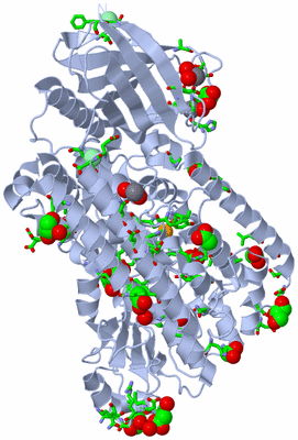 Image Biol. Unit 1 - sites