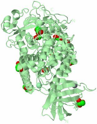 Image Biological Unit 2