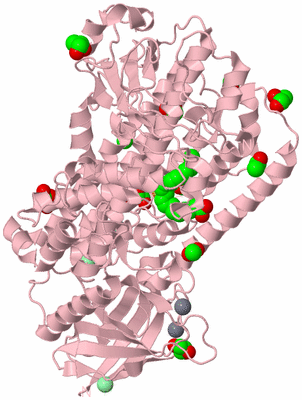 Image Biological Unit 3