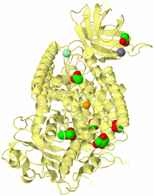 Image Biological Unit 4