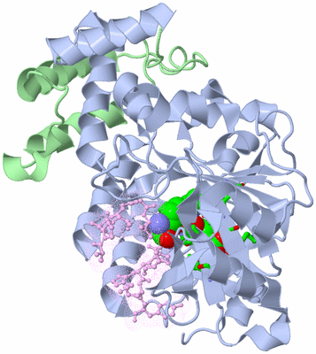 Image Biol. Unit 1 - sites