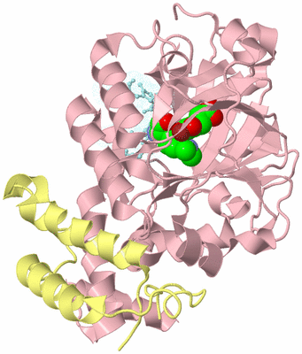 Image Biological Unit 2