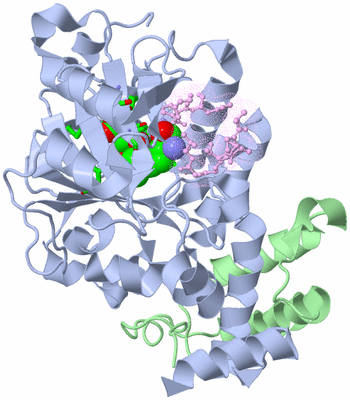 Image Biol. Unit 1 - sites