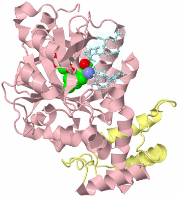 Image Biological Unit 2