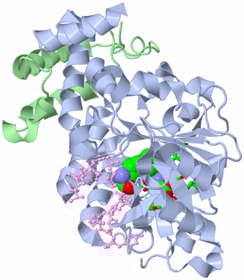 Image Biol. Unit 1 - sites