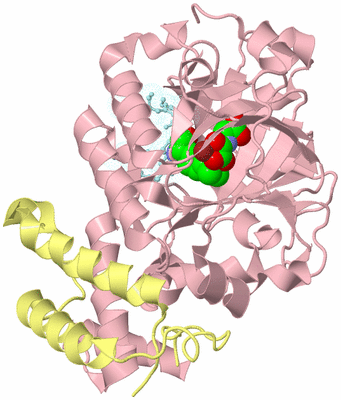 Image Biological Unit 2