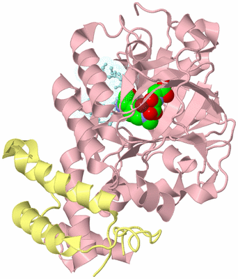 Image Biological Unit 2