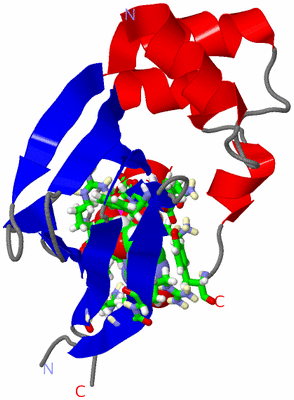 Image Asym. Unit - sites