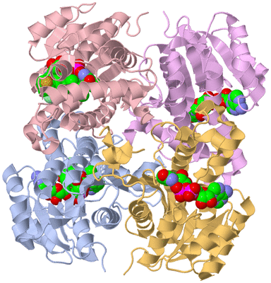 Image Asym./Biol. Unit