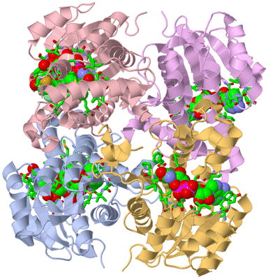 Image Asym./Biol. Unit - sites