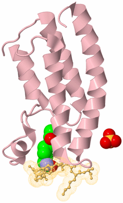 Image Biological Unit 3