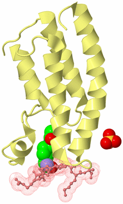 Image Biological Unit 4