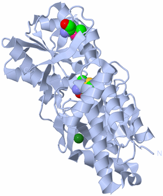 Image Biological Unit 1