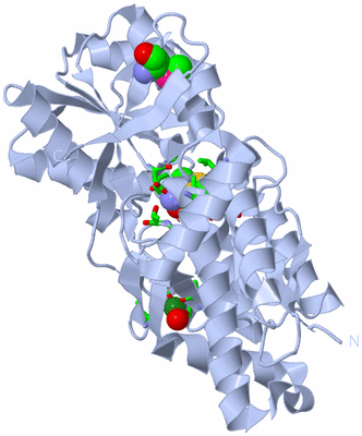 Image Biol. Unit 1 - sites