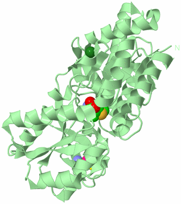 Image Biological Unit 2