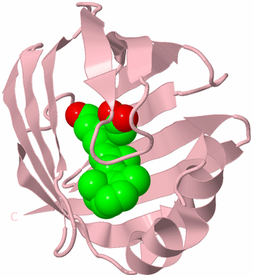 Image Biological Unit 3