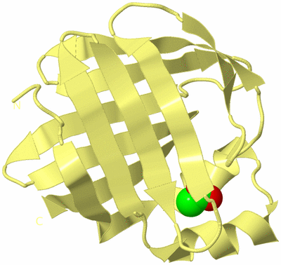 Image Biological Unit 4