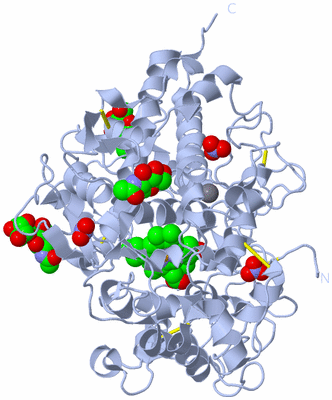 Image Biological Unit 1