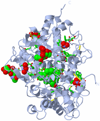 Image Biol. Unit 1 - sites