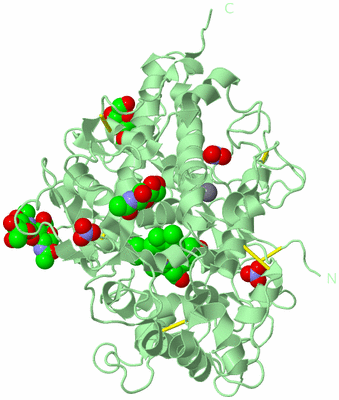 Image Biological Unit 2