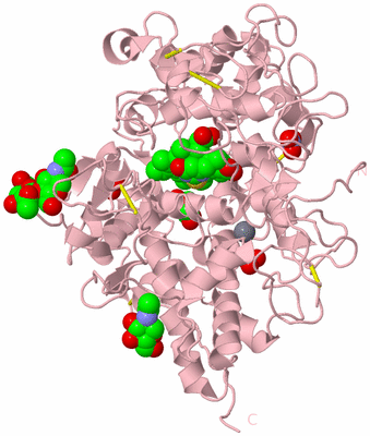 Image Biological Unit 3