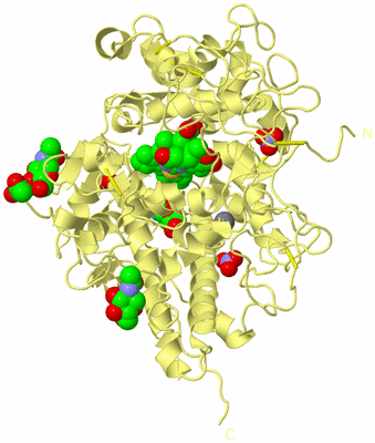 Image Biological Unit 4