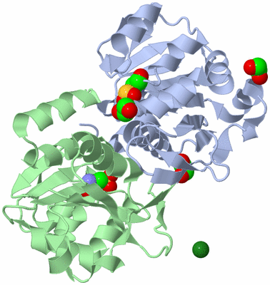 Image Biological Unit 1