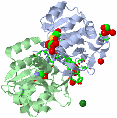 Image Biol. Unit 1 - sites