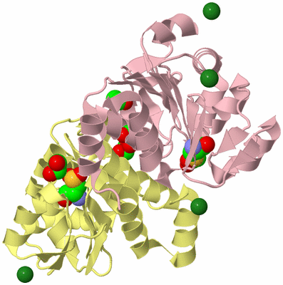 Image Biological Unit 2