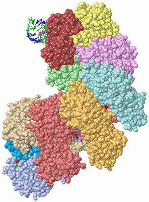 Image Asym./Biol. Unit - sites