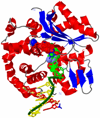 Image Asym./Biol. Unit