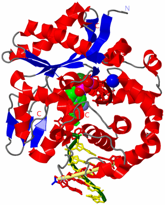 Image Asym./Biol. Unit