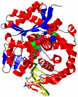 Image Asym./Biol. Unit