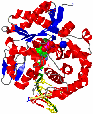 Image Asym./Biol. Unit