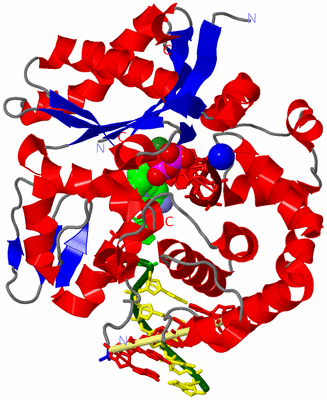 Image Asym./Biol. Unit